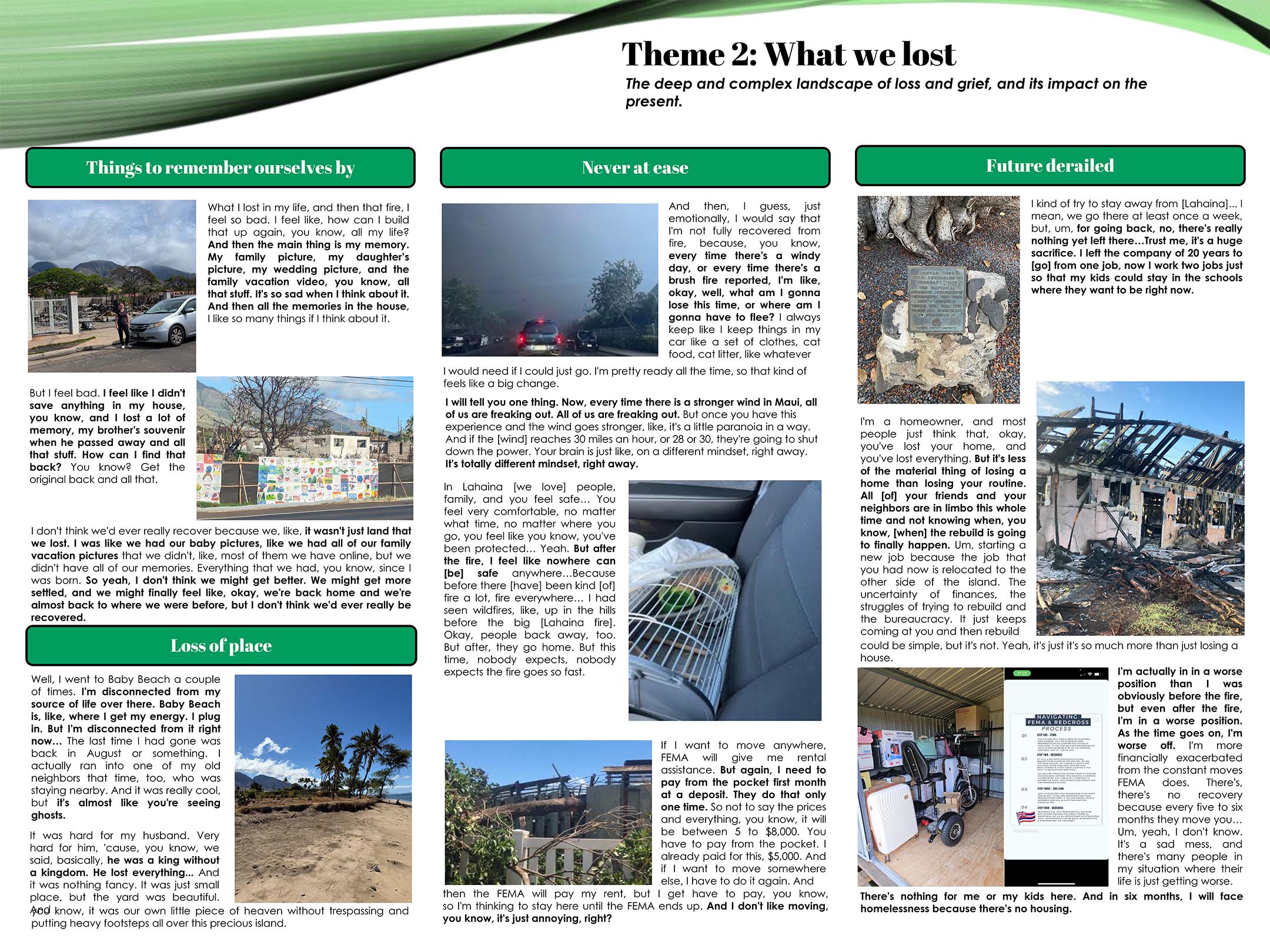 Maui Theme 2: What We Lost